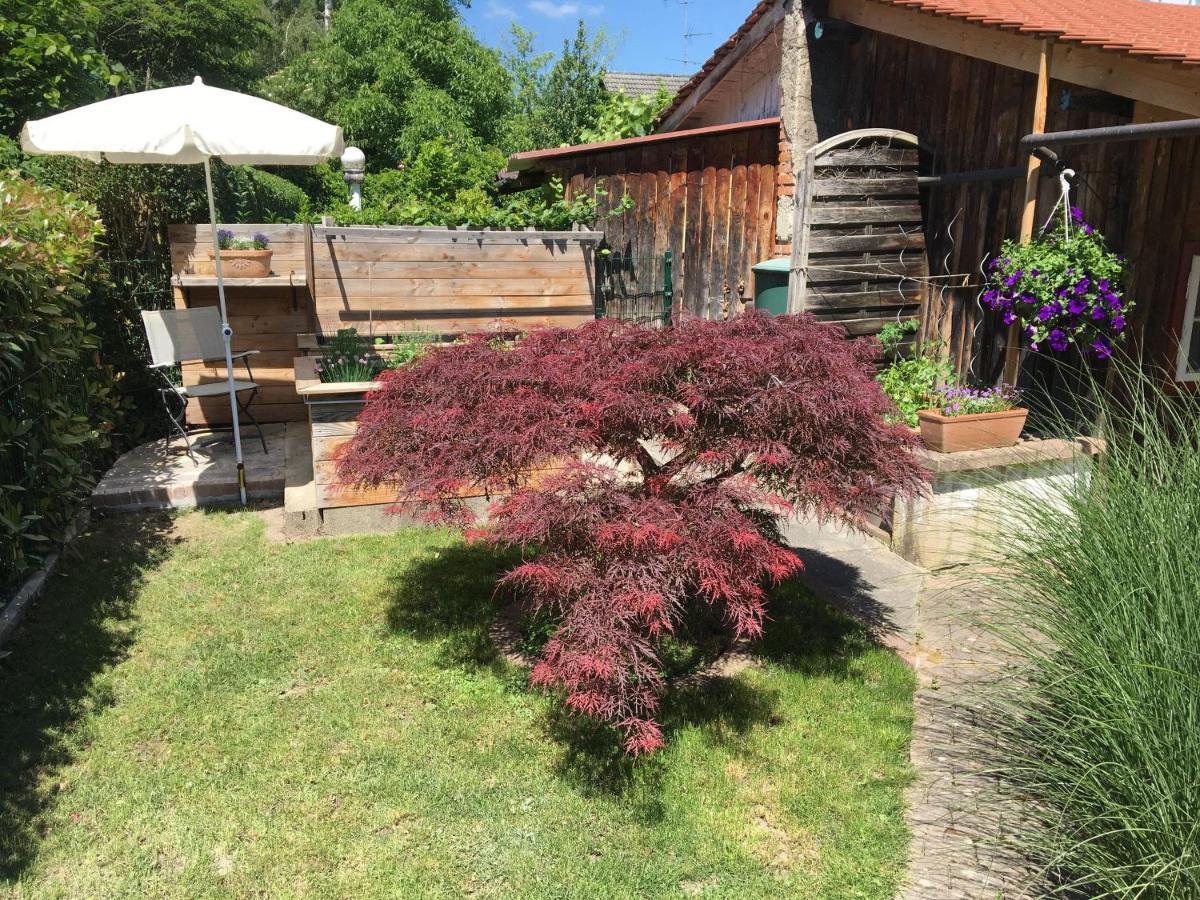 Ferienwohnung Dashaus Rheinfelden  Luaran gambar