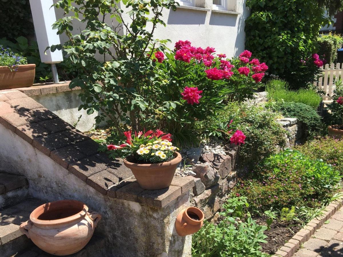 Ferienwohnung Dashaus Rheinfelden  Luaran gambar